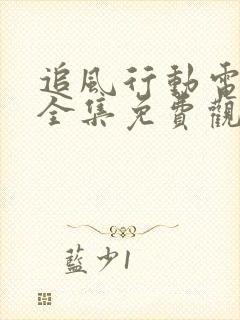 追风行动电视剧全集免费观看