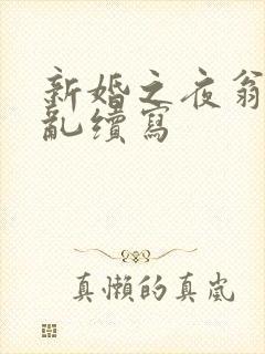 新婚之夜翁莹情乱续写