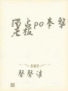 独占po拳击馆老板