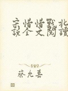 宋惜惜战北望小说全文阅读