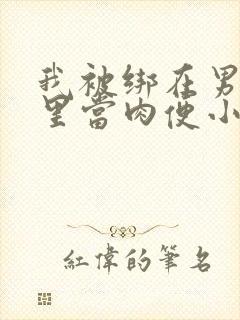 我被绑在男公厕里当肉便小说封面