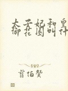 太子妃和皇帝在御花园叫什么小说