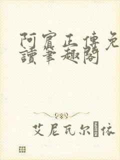 阿宾正传免费阅读笔趣阁