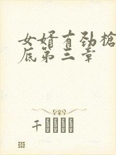 女婿有劲枪枪到底第三章封面