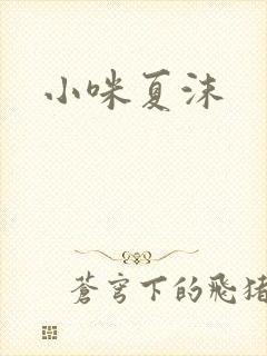 小咪夏沫