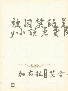 被囚禁的美人by小说免费阅读