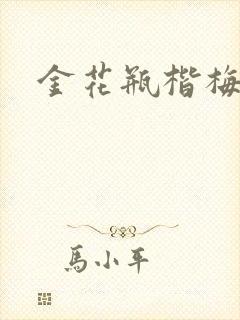 金花瓶楷梅花封面