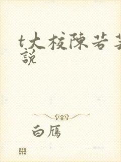t大校陈若芸小说
