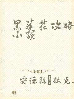 黑莲花攻略手册小说