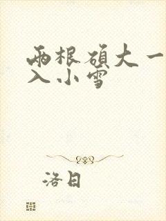 两根硕大一起挤入小雪