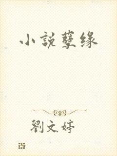 小说孽缘