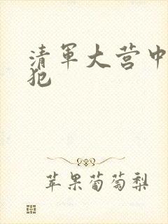 清军大营中的女犯