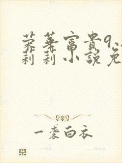 荣华富贵9小王莉莉小说免费阅读封面