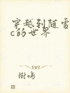 穿越到随处可以c的世界封面