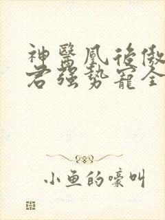 神医凰后傲娇暴君强势宠全文免费阅读