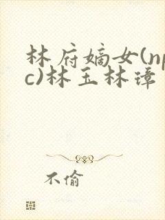 林府嫡女(npc)林玉林璋