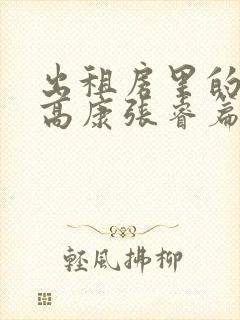 出租房里的交互高康张睿篇