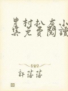 农村扒灰小说全集免费阅读封面