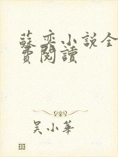 苏奕小说全文免费阅读