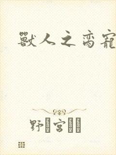 兽人之脔宠封面