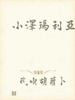 小泽玛利亚作品