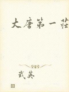 大唐第一庄