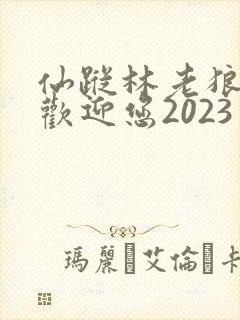 仙踪林老狼入口欢迎您2023封面