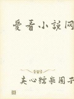 爱看小说网封面