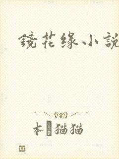 镜花缘小说