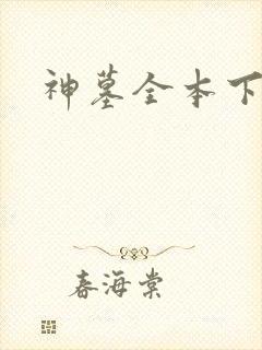 神墓全本下载封面