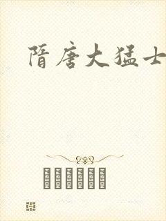 隋唐大猛士封面
