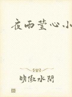 夜雨莹心小说封面