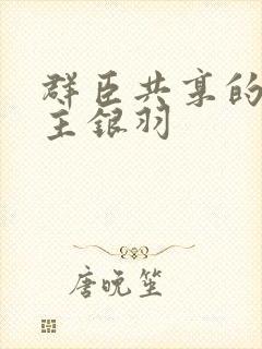 群臣共享的小公主银羽封面