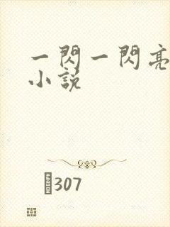 一闪一闪亮星星小说