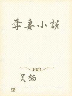 夺妻小说
