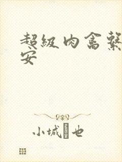 超级肉禽系统保安