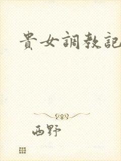贵女调教记