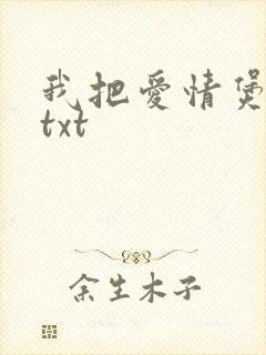 我把爱情煲成汤txt
