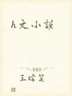 h文小说