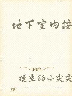 地下室肉按摩椅封面