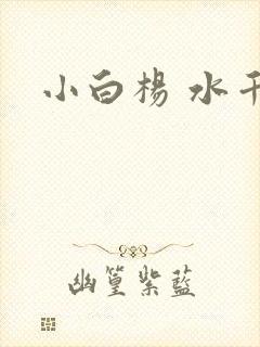 小白杨 水千丞