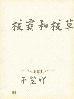 校霸和校草封面