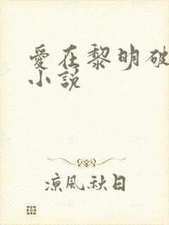 爱在黎明破晓前小说