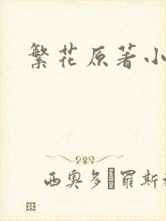 繁花原著小说封面