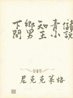 下乡知青储物空间男主小说封面