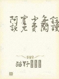 阿宾少年钰慧小说免费阅读笔趣阁