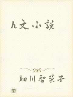h文小说