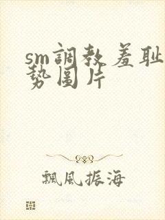 sm调教羞耻姿势图片