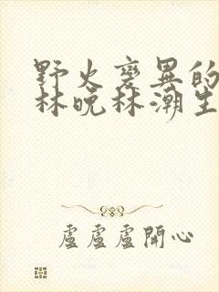 野火变异的父爱林晚林潮生封面