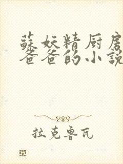 苏妖精厨房爹爹爸爸的小说